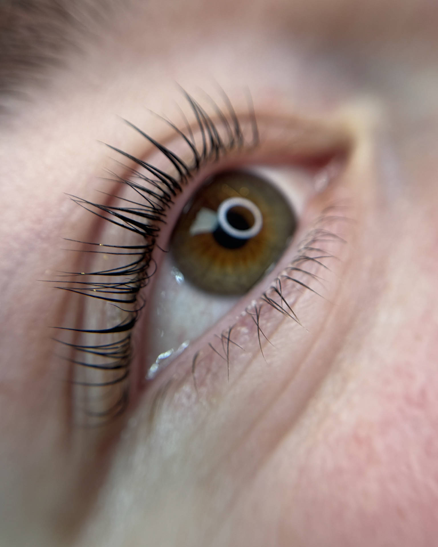 Geschwungene Naturwimpern nach einem Lash Lifting